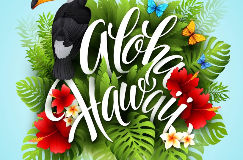 Das Wort Aloha Hawaii mit einem Tukan und Blumen.