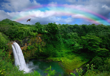 Ein Regenbogen über einem Wasserfall in Hawaii.