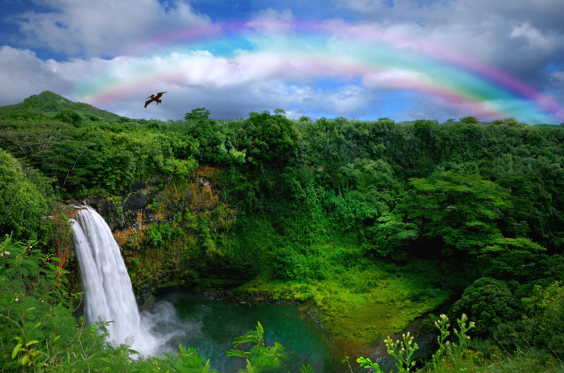 Ein Regenbogen über einem Wasserfall in Hawaii.
