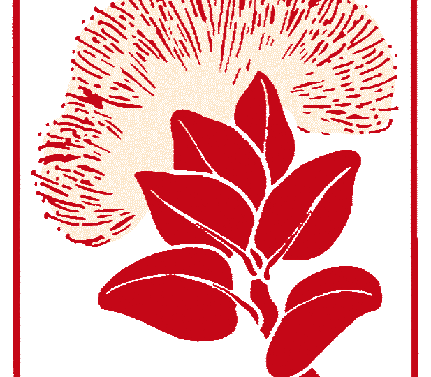 Eine rote Blume mit Blättern in einem quadratischen Rahmen.